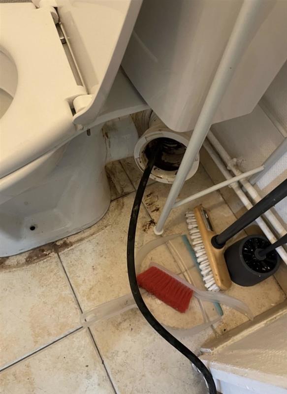 Débouchage sanitaire