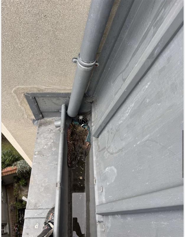 Entretien chéneau et descente